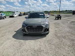 Audi SQ5 2023