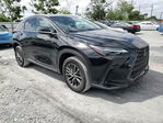 Lexus NX 2023