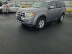 Ford Escape 2008