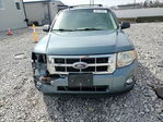 Ford Escape 2010