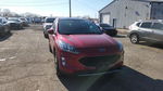 Ford Escape 2020