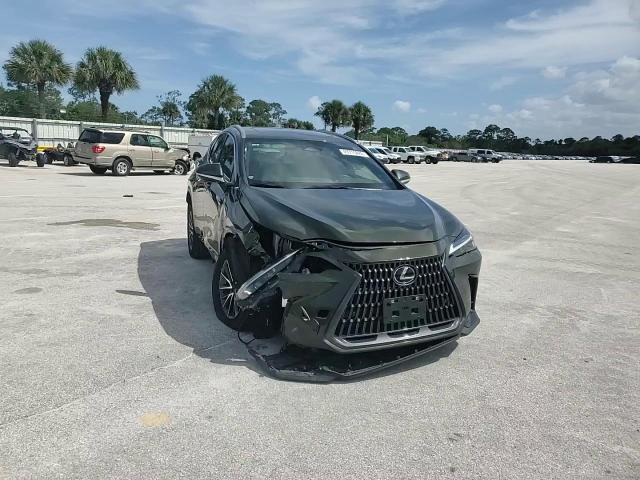 Lexus NX 2024