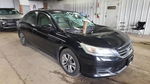 Honda Accord 2013