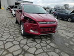 Ford Escape 2013