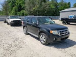 Ford Escape 2012