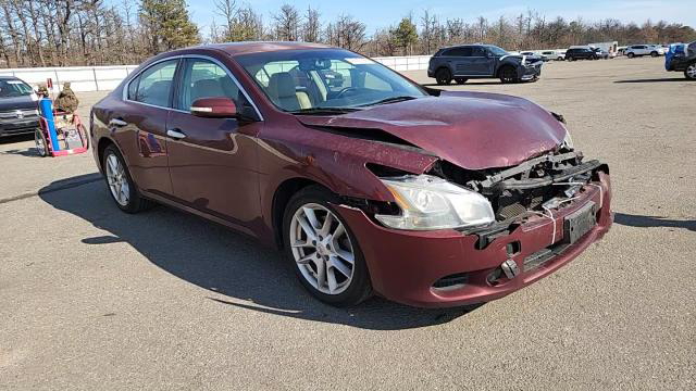 Nissan Maxima 2011