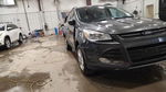 Ford Escape 2016