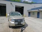 Ford Escape 2012