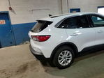 Ford Escape 2020