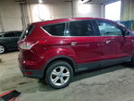Ford Escape 2013