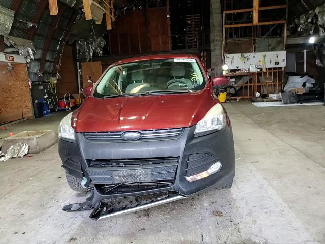 Ford Escape 2014
