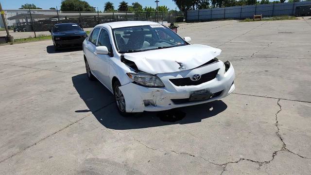 Toyota Corolla 2010
