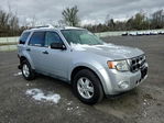 Ford Escape 2011