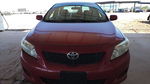 Toyota Corolla 2009