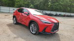 Lexus NX 2025