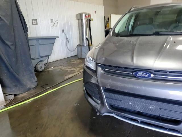 Ford Escape 2014