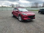 Ford Escape 2020