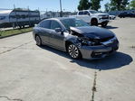 Honda Accord 2017