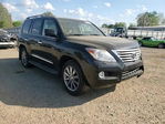 Lexus LX 2010