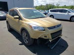 Ford Escape 2014