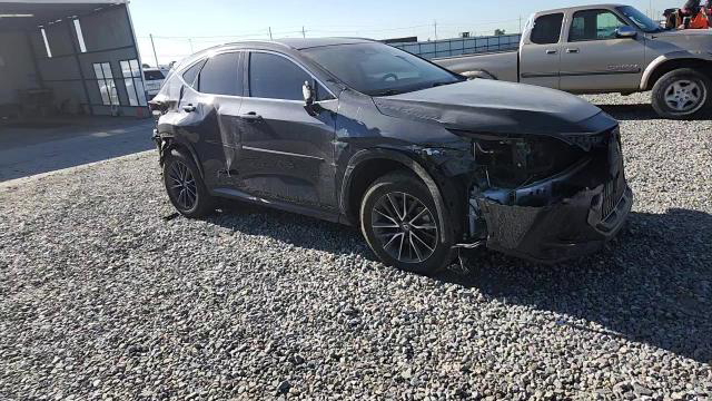 Lexus NX 2022