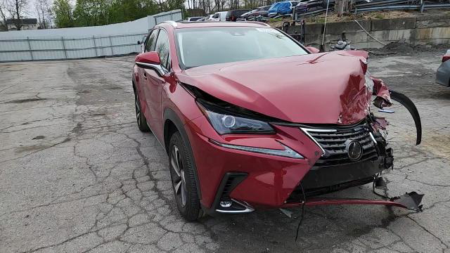 Lexus NX 2019