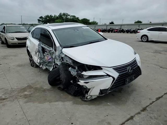 Lexus NX 2019