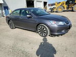 Honda Accord 2015