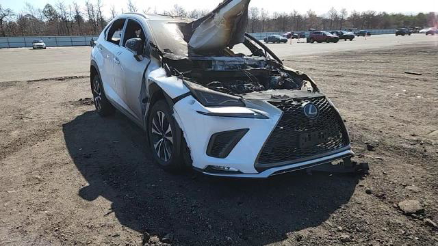Lexus NX 2021