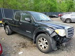 Suzuki Equator 2012