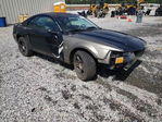 Ford Mustang 2003