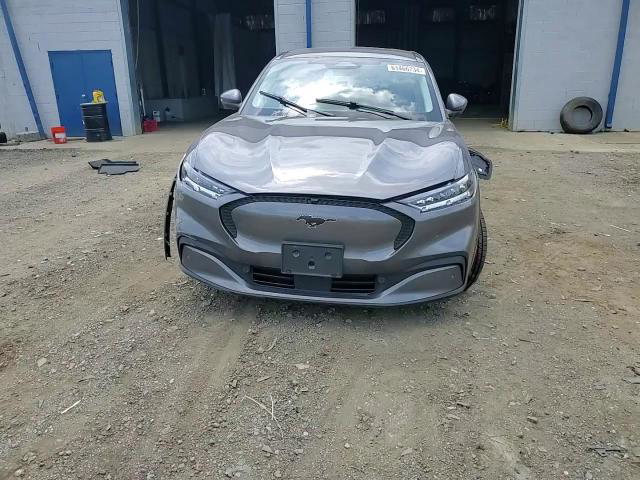 Ford Mustang 2021