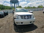 Cadillac Escalade 2007
