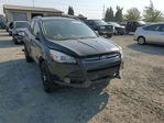 Ford Escape 2013