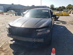 Dodge Charger 2019
