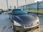 Nissan Maxima 2012
