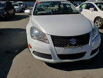 Suzuki Kizashi 2010