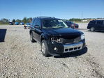 Ford Escape 2012