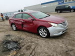 Hyundai Sonata 2011