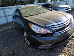 Hyundai Sonata 2013
