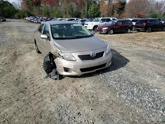 Toyota Corolla 2010