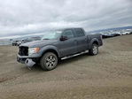 Ford F-150 2009