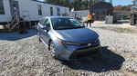 Toyota Corolla 2025