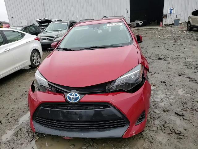 Toyota Corolla 2019