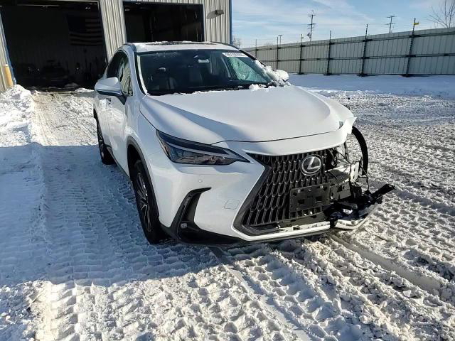 Lexus NX 2024