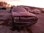 Dodge Challenger 2013