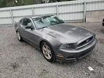 Ford Mustang 2014