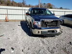 Ford F-150 2010