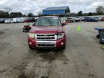 Ford Escape 2008