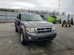 Ford Escape 2012